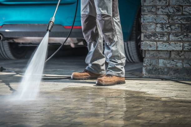 Best Spring Cleaning  in De Witt, NY